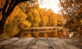 Empty wooden table over the autumn landscape