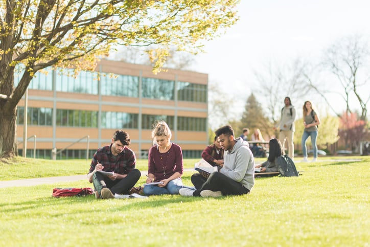 Outdoor study session