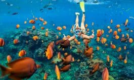 Girl in snorkeling mask dive underwater with coral reef fishes