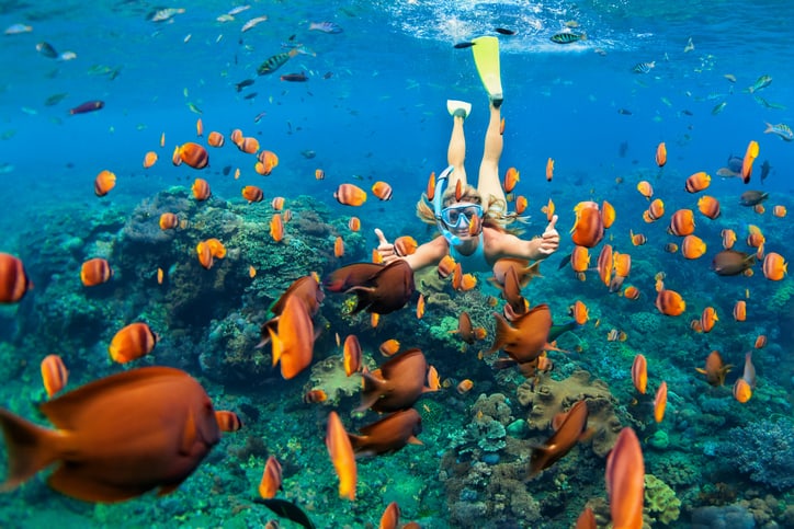 Girl in snorkeling mask dive underwater with coral reef fishes