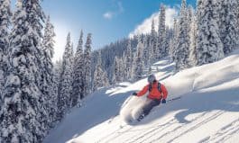 Powder skiing