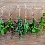 Easy to Grow Herbs for Fresh Spring Drinks