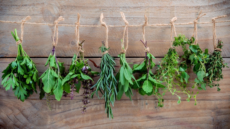 Assorted hanging herbs