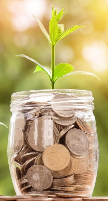 Gardener's Supply Company Saving Tips 