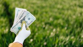 The Ultimate Guide to Saving Big on Home and Garden Essentials with Coupons and Cashback Offers